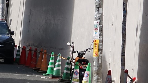 20230903155159_IMG_9145