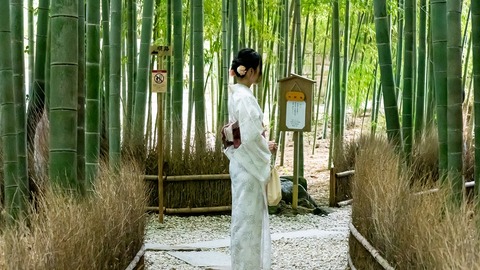 ScreenShot Tool -20250911221857_result_