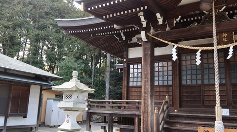 20190210140810_IMG_0934