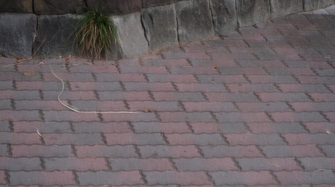 20211205165908_IMG_2418