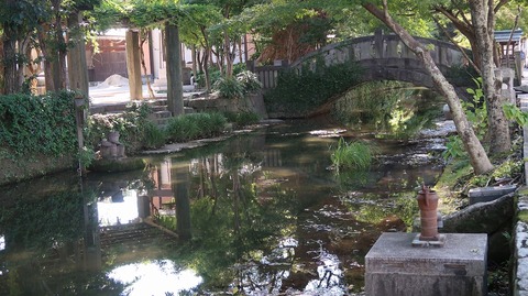 20210920153220_IMG_2197