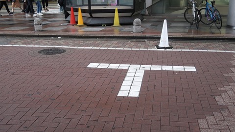 20231112101126_IMG_0428