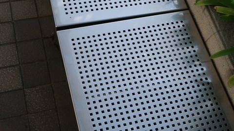 20210515163614_IMG_1534