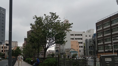 20220828133908_IMG_6065