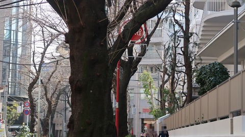 20210213112429_IMG_0378