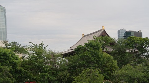 20220508181622_IMG_4234