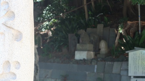 20230811145620_IMG_8973