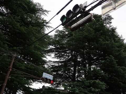 20190714144406_IMG_2920