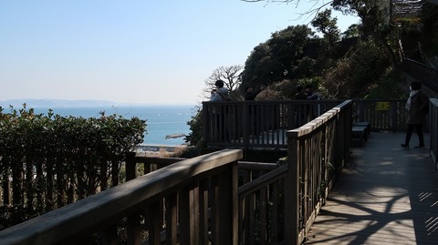 20190223115852_IMG_1021