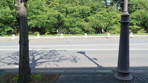 20200921114854_IMG_8124