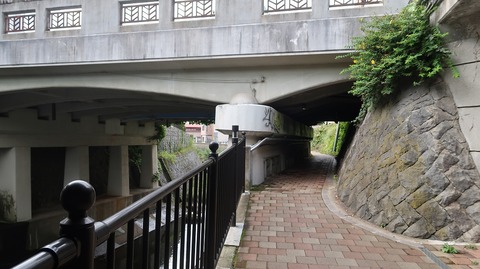 20200921103111_IMG_8086