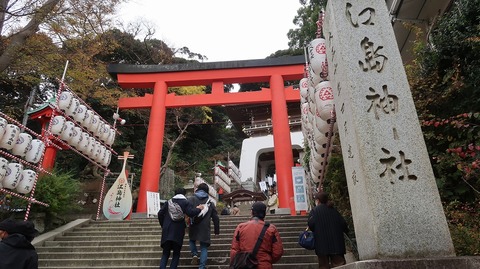 20221217115634_IMG_7372