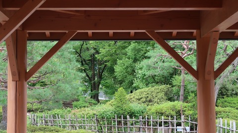 20190714140017_IMG_2904