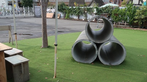 20221126131326_IMG_7073