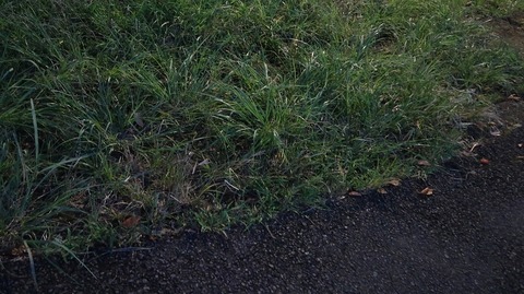 20220828192040_IMG_6086