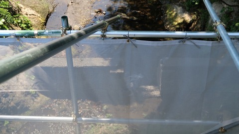 20190525113409_IMG_2376