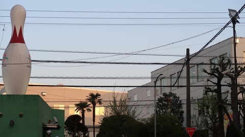 20220410181129_IMG_3459