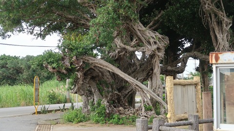 20221121135550_IMG_6958