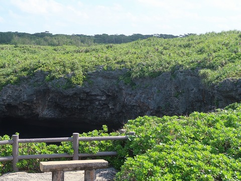 20221121110920_IMG_6923