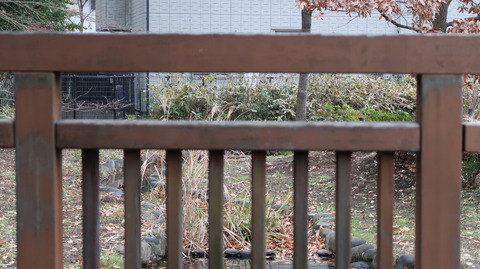 20181223152300_IMG_0038