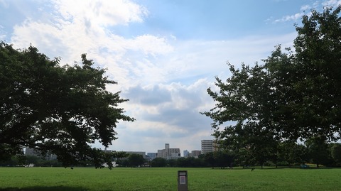 20220807153543_IMG_5435