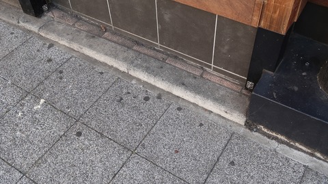 20220410165711_IMG_3398