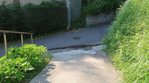 20190525160821_IMG_2472