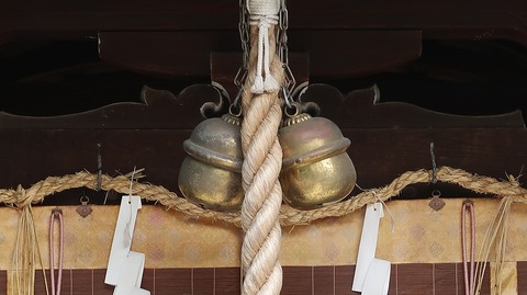 20220813091431_IMG_5783