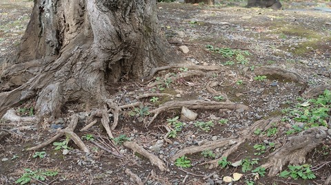 20221126115225_IMG_7021