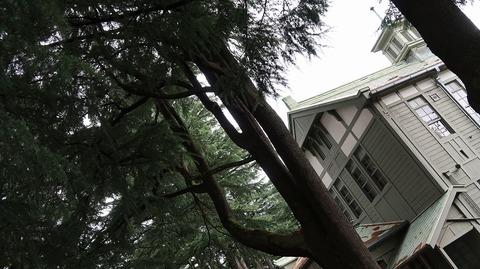 20190714142015_IMG_2915