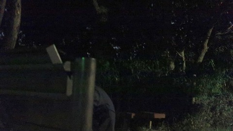 20220828192122_IMG_6102