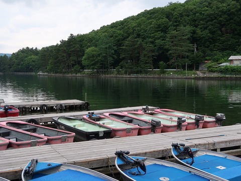 20190713143443_IMG_2853