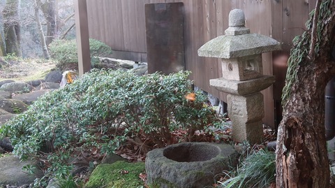 20211220080304_IMG_2595