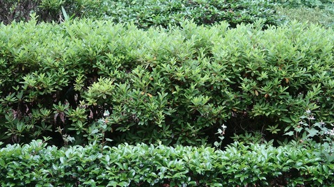 20220611181054_IMG_4633