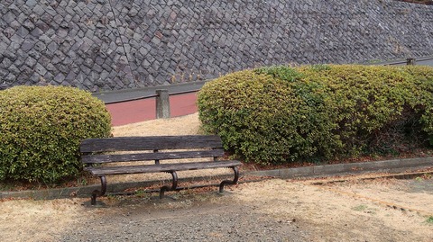 20190209101054_IMG_0862