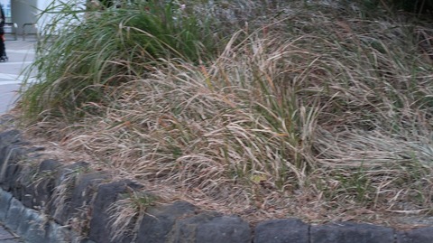 20211205165137_IMG_2408