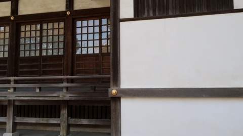 20190210140642_IMG_0931