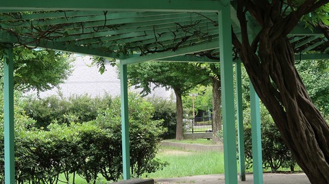 20220812140037_IMG_5687