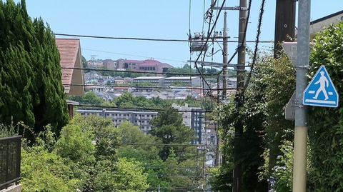20190616115400_IMG_2591