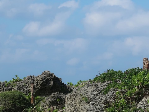 20221121110715_IMG_6921