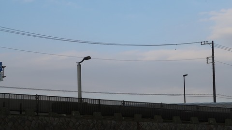 20190223161807_IMG_1074