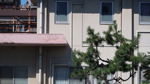 20230814152028_IMG_9090