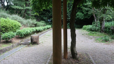 20220611175829_IMG_4613