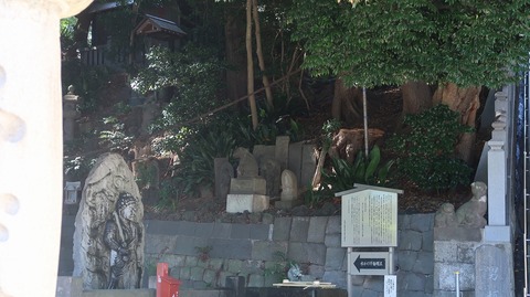 20230811145440_IMG_8970