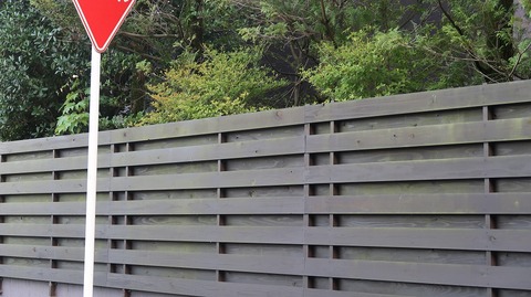 20210918181536_IMG_2069