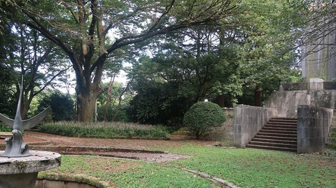 20200912144609_IMG_7658