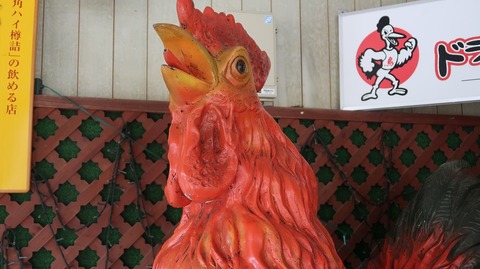 20210919122556_IMG_2126