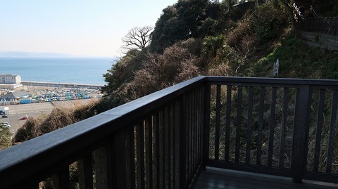 20190223115528_IMG_1015