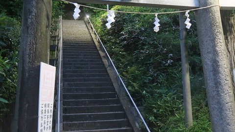 20220515192709_IMG_4326