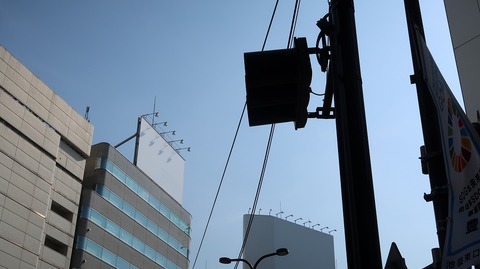 20210213125102_IMG_0444